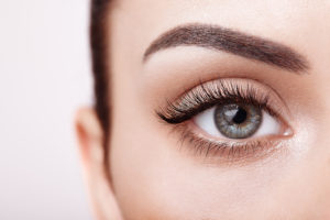 Lashes and Brows at The Beauty Rooms Chelmsford